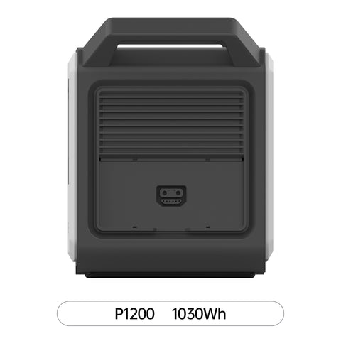 Central eléctrica portátil M1200